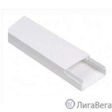 Iek (CKK10-100-060-1-K01) Кабель-канал 100х60 ″ЭЛЕКОР″ длина 2м.