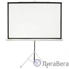 Экран Cactus Triscreen CS-PST-150X150 150х150 см 1:1, напольный белый