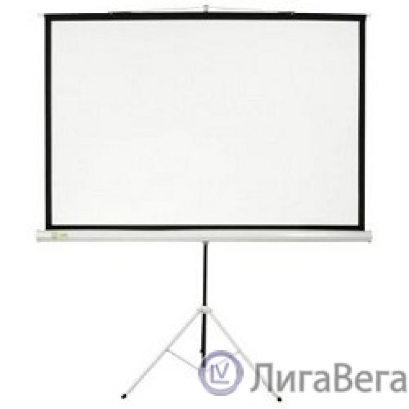 Экран Cactus Triscreen CS-PST-150X150 150х150 см 1:1, напольный белый