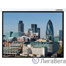 LUMIEN Master Control LMC-100115 162x280 см, без черной каймы/202x280 см с учетом черной каймы, 16:9,  Matte White FiberGlass 