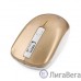 Gembird MUSW-400-G Gold USB { Мышь беспров., 3кн.+колесо-кнопка, 2.4ГГц, 1600 dpi, бесшумный клик} Gembird MUSW-400-G Gold USB { Мышь беспров., 3кн.+колесо-кнопка, 2.4ГГц, 1600 dpi, бесшумный клик}