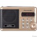 Perfeo мини-аудио Sound Ranger, УКВ+ FM, MP3 (USB/TF), USB-audio, BL-5C 1000mAh, шамп.золот (SV922AU) [PF_3185]