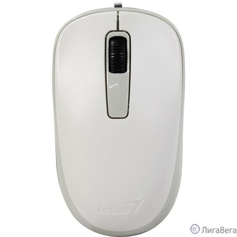 Genius DX-125 White USB [31010011401]