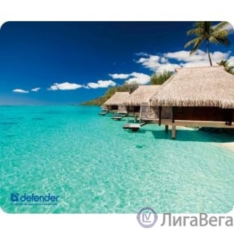 Defender Коврик для компьютерной мыши Silk Pad Nature 10 видов, 230x190x1.6 мм [50707]