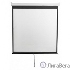 Digis Optimal-D [DSOD-1107] Экран настенный (Optimal-D, формат 1:1, 135″, 248x250, рабочая поверхность 240x240, MW)