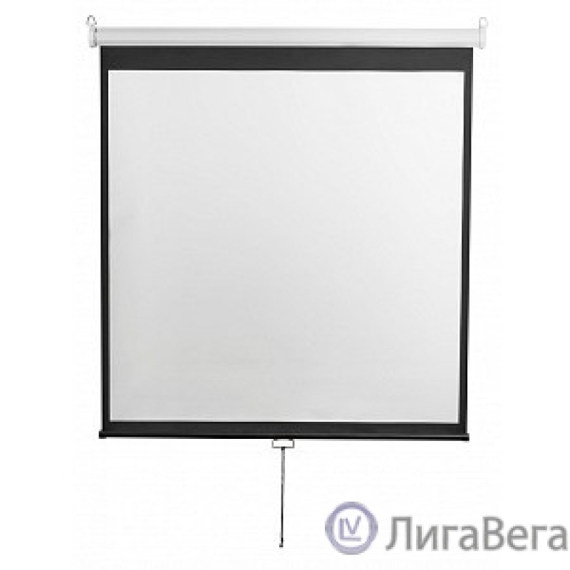 Digis Optimal-D [DSOD-1107] Экран настенный (Optimal-D, формат 1:1, 135″, 248x250, рабочая поверхность 240x240, MW)