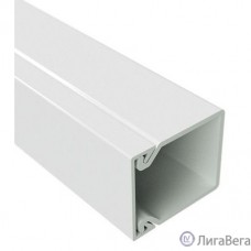 Dkc 00324 TA-EN 40 x 40 Короб с крышкой с плоской основой ( 2 метра)