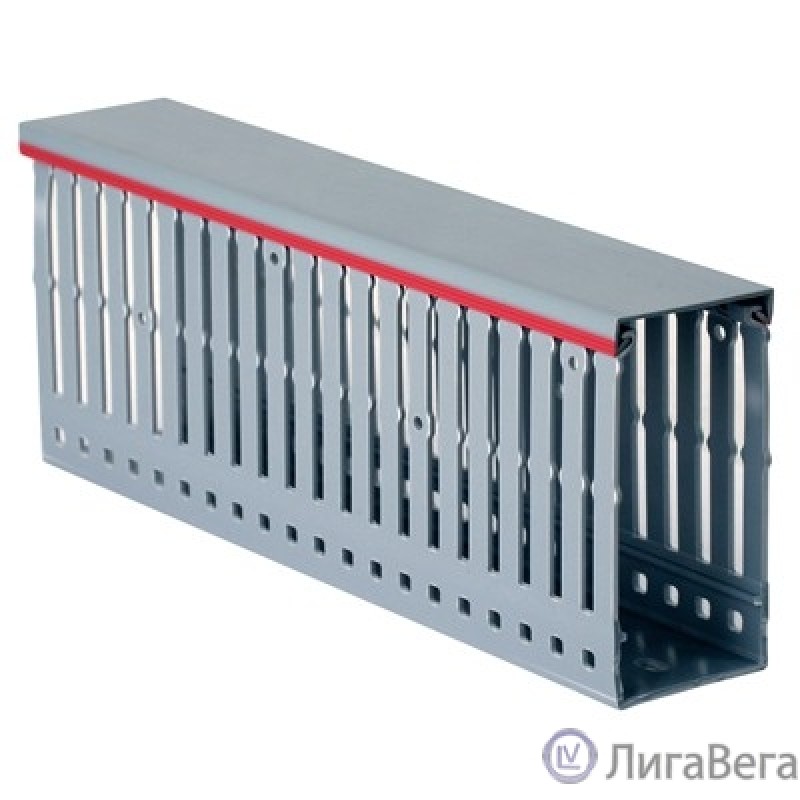 Dkc 01127RL Короб перфорированный, серый RL6 40x80 (2 метра) Dkc 01127RL Короб перфорированный, серый RL6 40x80 (2 метра)