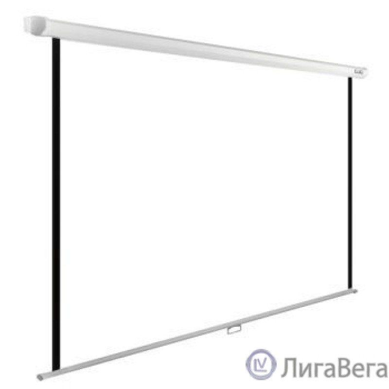 Экран Cactus WallExpert CS-PSWE-220x165-WT 220x165 см 1:1 настенно-потолочный рулонный белый