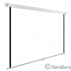 Экран Cactus WallExpert CS-PSWE-200x200-WT 200x200 см 1:1 настенно-потолочный рулонный