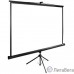 Экран Cactus TriExpert CS-PSTE-220x220-BK 220x220 см 1:1 напольный рулонный