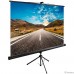Экран Cactus TriExpert CS-PSTE-220x220-BK 220x220 см 1:1 напольный рулонный Экран Cactus TriExpert CS-PSTE-220x220-BK 220x220 см 1:1 напольный рулонный