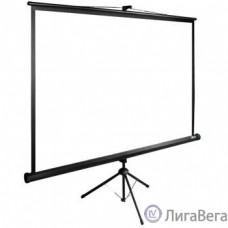 Экран Cactus TriExpert CS-PSTE-220x165-BK 165x220 см 4:3 напольный рулонный