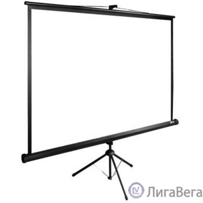 Экран Cactus TriExpert CS-PSTE-160x160-BK 160x160 см 1:1 напольный рулонный Экран Cactus TriExpert CS-PSTE-160x160-BK 160x160 см 1:1 напольный рулонный