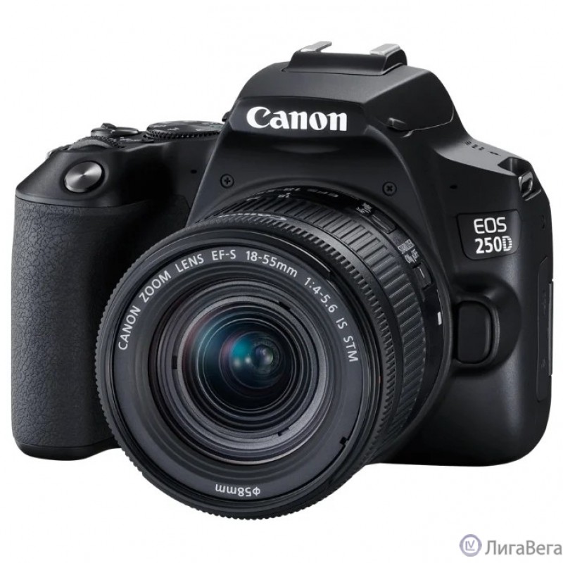 Canon EOS 250D черный {24.1Mpix EF-S 18-55mm f/1:4-5.6 IS STM 3″ 4K Full HD SDXC Li-ion} Canon EOS 250D черный {24.1Mpix EF-S 18-55mm f/1:4-5.6 IS STM 3″ 4K Full HD SDXC Li-ion}