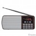 Perfeo радиоприемник цифровой ЕГЕРЬ FM+ 70-108МГц/ MP3/ питание USB или BL5C/ коричневый (i120-BK) [PF_A4463]