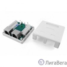 Hyperline SB1-2-8P8C-C6-SH-WH Розетка компьютерная RJ-45(8P8C), категория 6, экранированная, двойная, внешняя, Dual IDC