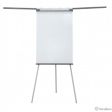 Cactus CS-FCT-M67x105 Флипчарт, магнитно-маркерная меламиновая 67х105см на треноге