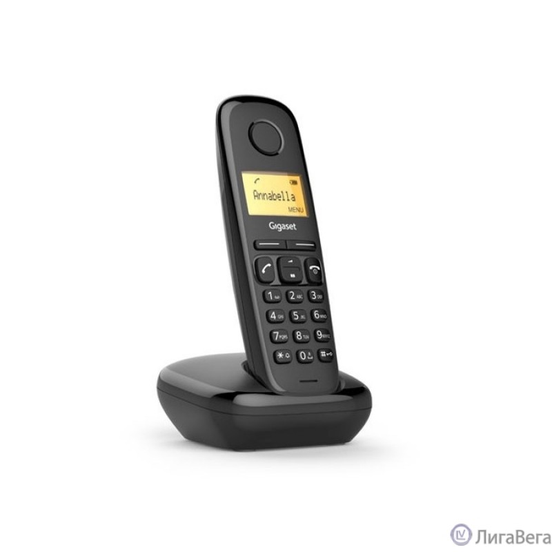 Gigaset [S30852-H2802-S301] A170