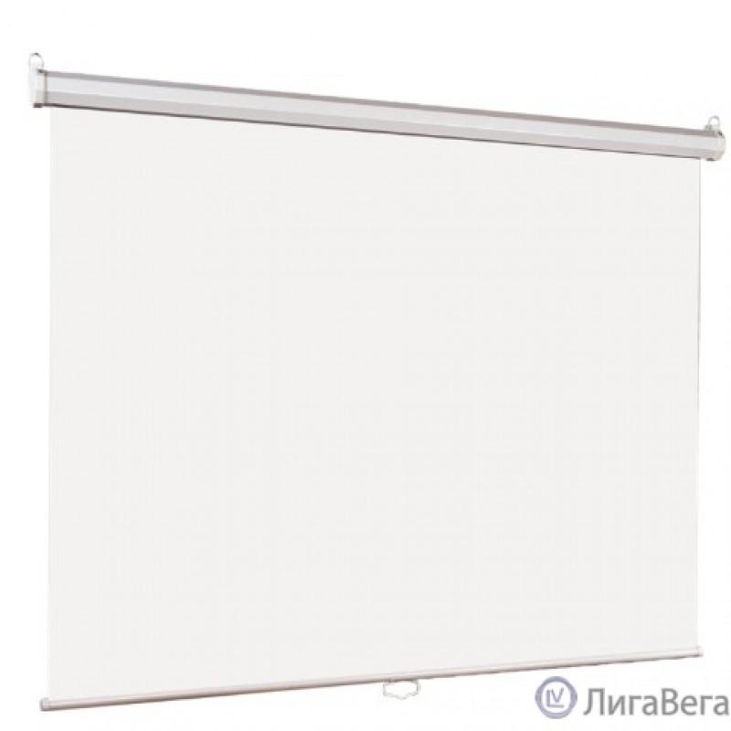 Lumien Eco Picture [LEP-100106] Настенный экран  127х127см (рабочая область 121х121 см) Matte White восьмигранный корпус, возможность потолочн./настенного крепления, уровень в комплекте, 1:1 (треуголь
