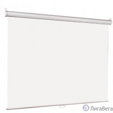Lumien Eco Picture [LEP-100117] Настенный экран  142х200см (рабочая область 109х194 см) Matte White верх.кайма 30 см, восьмигранный корпус, возможность потолочн./настенного крепления, уровень в компле