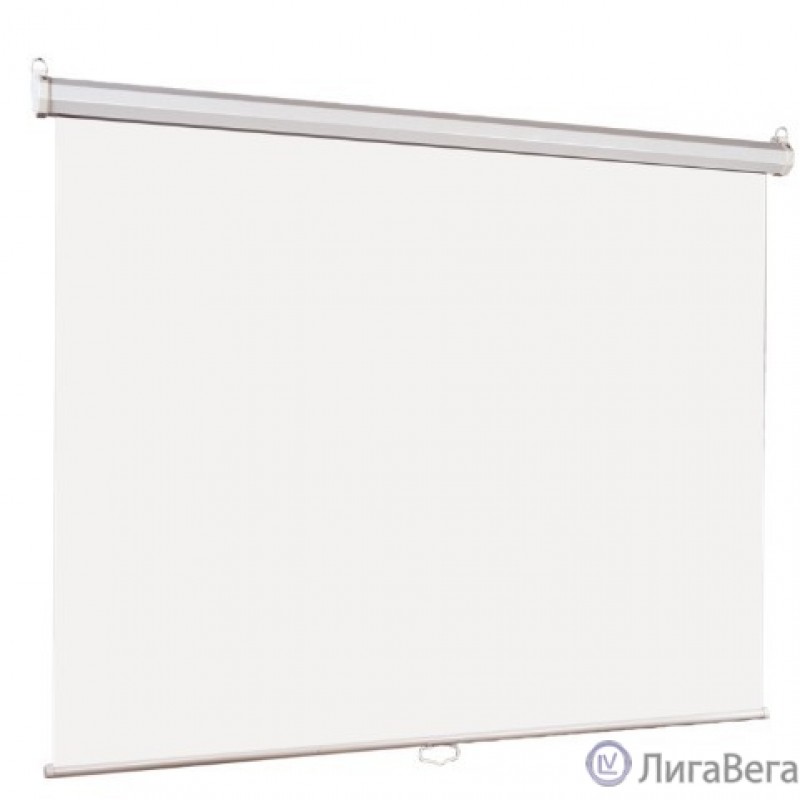 Lumien Eco Picture [LEP-100124] Настенный экран  178х280см (рабочая область 170х272 см) Matte White прямоуголный корпус, возможность потолочн./настенного крепления, уровень в комплекте, 16:10         