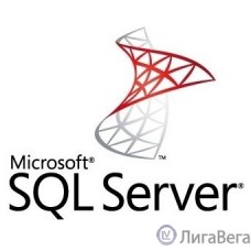 ПО Microsoft SQL Svr Standard Edtn 2019 English DVD 10 Clt (228-11548)