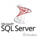 ПО Microsoft SQL Svr Standard Edtn 2019 English DVD 10 Clt (228-11548)