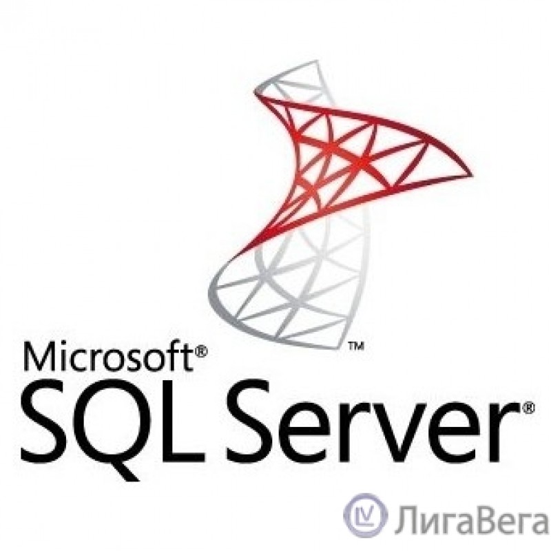 ПО Microsoft SQL Svr Standard Edtn 2019 English DVD 10 Clt (228-11548)