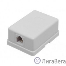 Itk CS2-1C5EU-12 Настенная инф. розетка RJ45, кат.5Е UTP, 1-порт