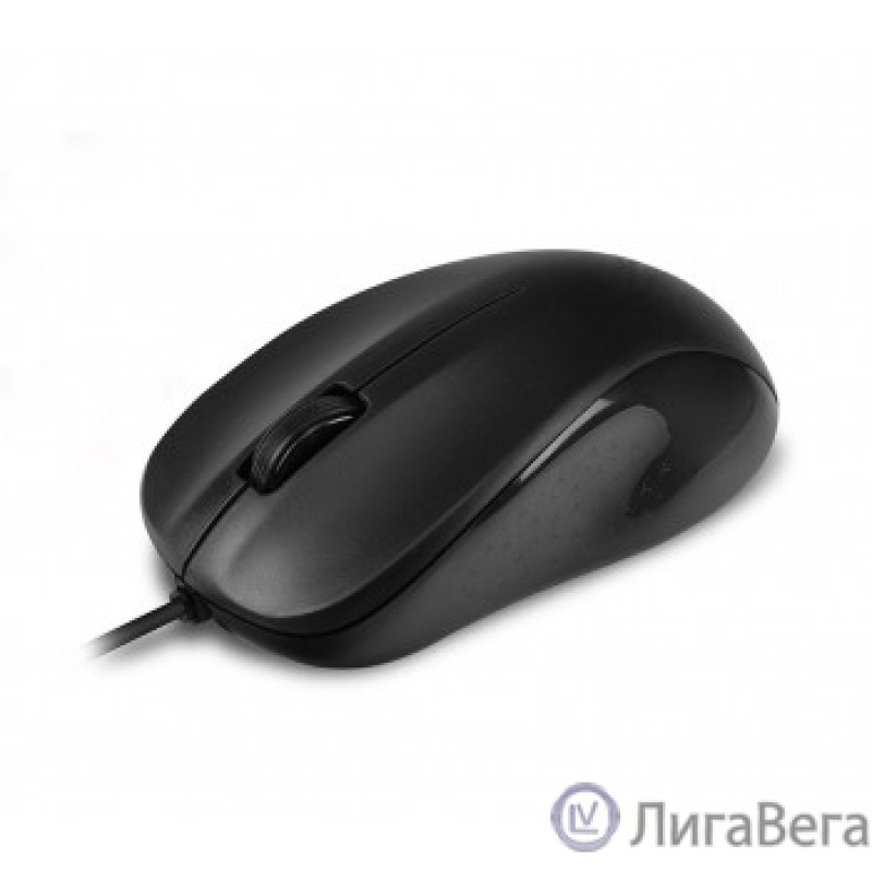 CBR CM 131c Black, USB, Мышь офисн., оптич., 1200 dpi, 3 кн., 2.0 м, резиновое колесо прокрутки, ABS-пластик, нет логотипа