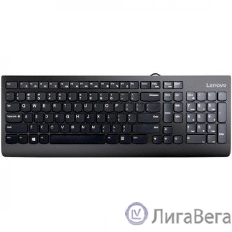 Lenovo [GX30M39684] 300 USB Keyboard