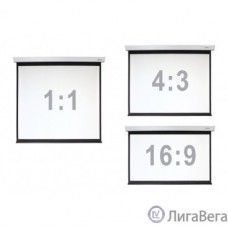 Digis Electra-F [DSEF-1106] Экран настенный с электроприводом, формат 1:1, 112″, 206x209, рабочая поверхность 200x200, MW