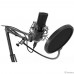 RITMIX RDM-169 Black {увствительность: - 42 ± 2 дБ?,  ?1000 ?}