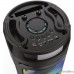 Ginzzu GM-219 {(V5.0), 50Вт, 150Гц- 18кГц, USB-flash, microSD-card, FM-радио, пульт ДУ,  батарея 3,6В/4500мАч, эквалайзер }