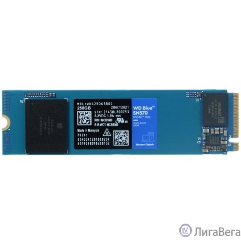 WD SSD M.2 250Gb WDS250G3B0C 