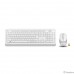 Клавиатура и мышь Wireless A4Tech FG1010 WHITE бело-серая, USB [1147575]