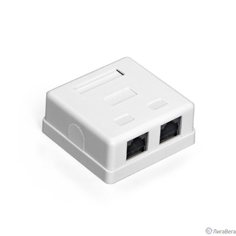 Exegate EX292845RUS Розетка внешняя двойная ExeGate SM2-RJ45-C6 RJ-45 кат.6 UTP Krone/110 Exegate EX292845RUS Розетка внешняя двойная ExeGate SM2-RJ45-C6 RJ-45 кат.6 UTP Krone/110