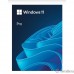 Microsoft Windows 11 Professional 64-bit English Int 1pk DSP OEI DVD лицензия с COA и носителем информации (FQC-10528)