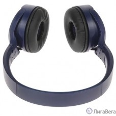 Panasonic RB-HF420BGEA (Мониторные Bluetooth наушники (Синий)