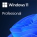 HAV-00164 Soft Microsoft Win Pro FPP 11 64-bit Eng Intl non-EU/EFTA USB (HAV-00164)