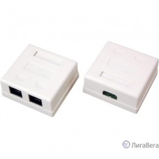 REXANT (06-0105-C) Розетка сетевая LAN, на стену, 2 гнездо 8Р8С (RJ-45), CAT 5е