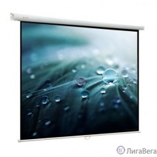 Viewscreen Lotus WLO-16108 Экран ручной (16:10) 406*305 (394*246)  MW