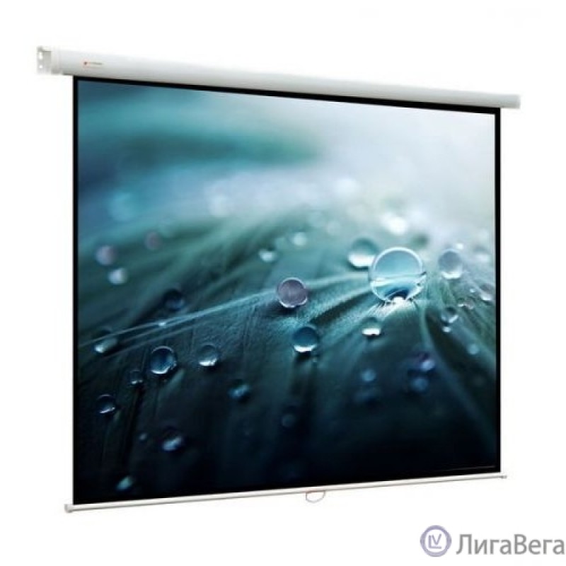 Viewscreen Lotus WLO-16108 Экран ручной (16:10) 406*305 (394*246)  MW Viewscreen Lotus WLO-16108 Экран ручной (16:10) 406*305 (394*246)  MW