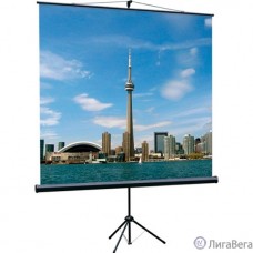 Lumien Eco View LEV-100111 Экран на треноге  153x203  4:3 напольный рулонный 