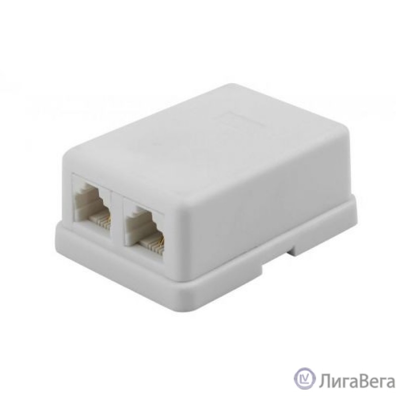 Filum FL-TA-SOCKET-2 Телефонная розетка настенная  двухпортовая, 2 х RJ-11/6p4c. Filum FL-TA-SOCKET-2 Телефонная розетка настенная  двухпортовая, 2 х RJ-11/6p4c.