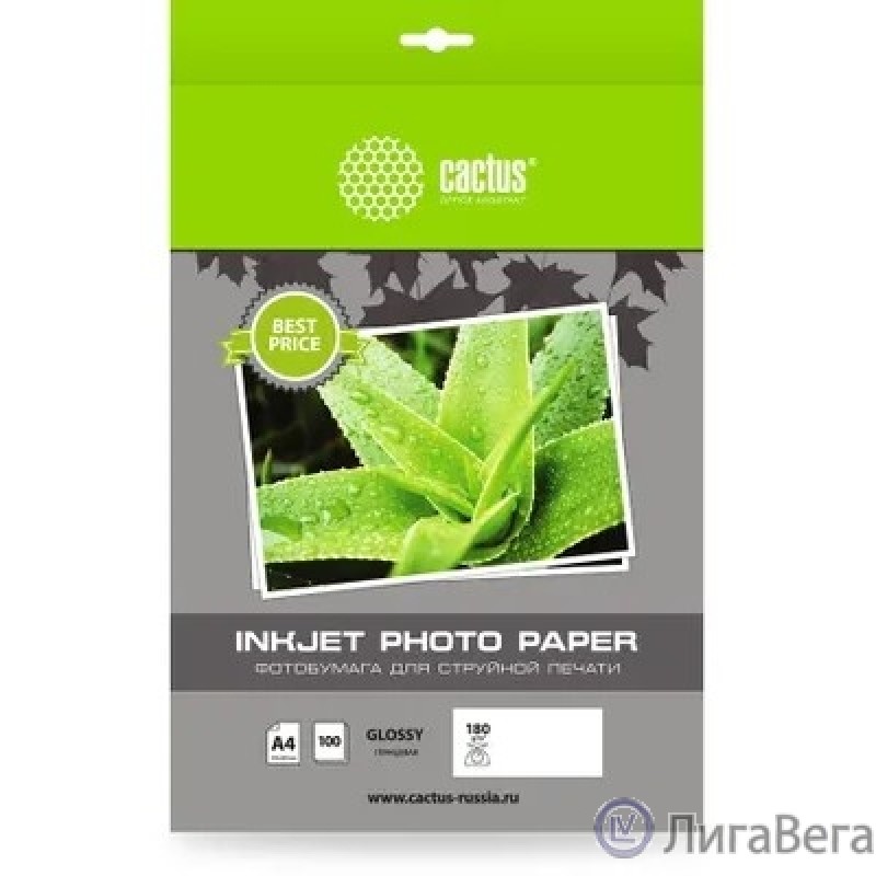 Фотобумага Cactus CS-GA4180100ED A4/180г/м2/100л./белый глянцевое для струйной печати